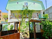 Green hause -  